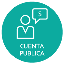 Icono Cuenta Publica